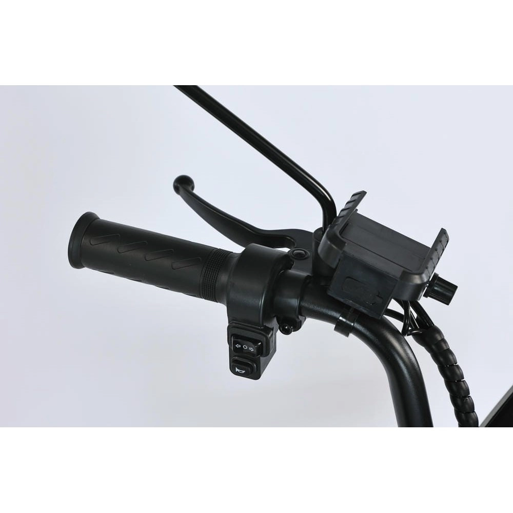 Электровелосипед SmartBalance Fiesta Pro 7